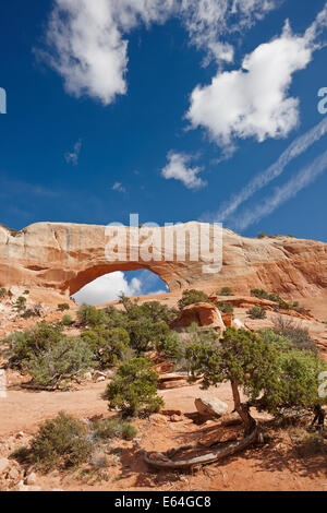 Wilson Arch, Utah, USA. Banque D'Images