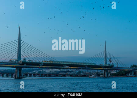 Des centaines de mouettes cercle au-dessus de la Corne d'or Metro Bridge autour de coucher du soleil à Istanbul. Banque D'Images