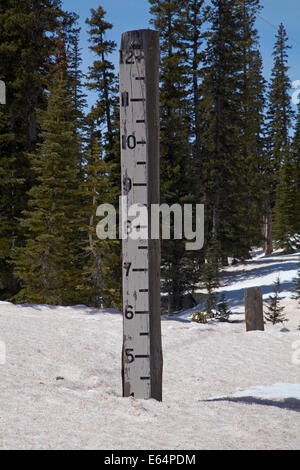 Jauge de profondeur de neige au sommet du col de la Banque mondiale de charbon (10 640 pi./3243 m), l'US 550, San Juan Skyway, Colorado, USA Banque D'Images