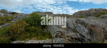 Panorama de la côte rocheuse à Skärhamn, Bohuslän, Västra Götaland Iän, Suède, Scandinavie. Banque D'Images