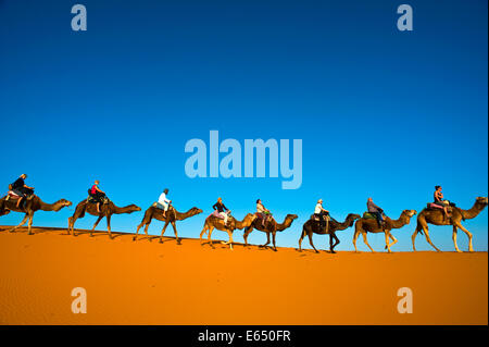 Les touristes chameaux sur les dunes de sable de l'Erg Chebbi, désert du Sahara, le Sud Marocain, Maroc Banque D'Images