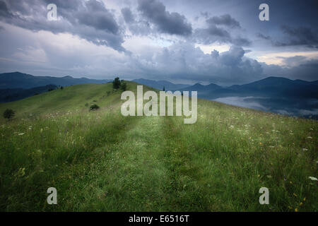 Montagnes paysage rural avant la pluie. Carpates, Ukraine Banque D'Images