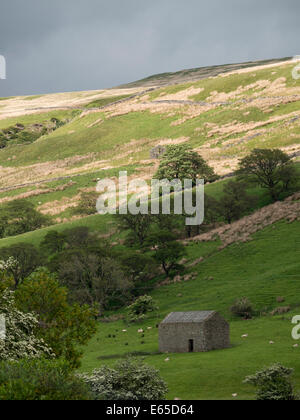 L'Eden Valley, N Yorkshire, UK Banque D'Images