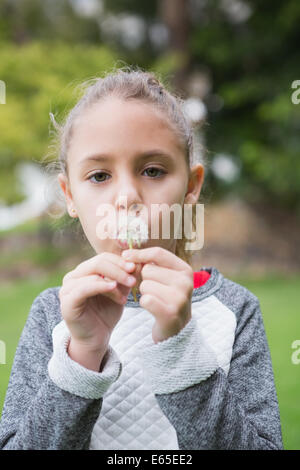 Cute little girl blowing dandelion Banque D'Images