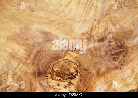 Texture très détaillés de bois d'olive, bois naturel Banque D'Images