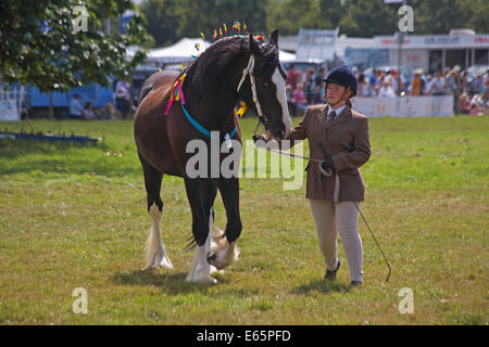 L'Ellingham & Ringwood Agricultural Society Show annuel à Somerley Park, Ellingham, Ringwood, Hampshire, Royaume-Uni en août Banque D'Images