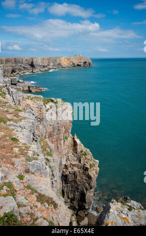 Vue sur le spectaculaire littoral à St Govan's Head, Pembrokeshire, Pays de Galles du Sud Banque D'Images