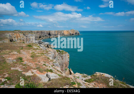 Vue sur le spectaculaire littoral à St Govan's Head, Pembrokeshire, Pays de Galles du Sud Banque D'Images