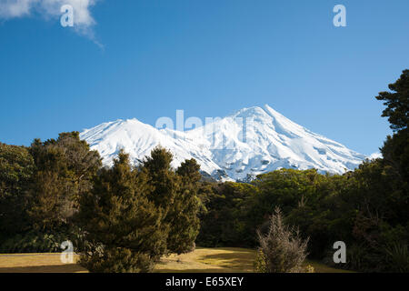 Mont Egmont. Banque D'Images