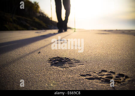 Pieds de cultiver l'homme de la marche nordique sur la plage Banque D'Images