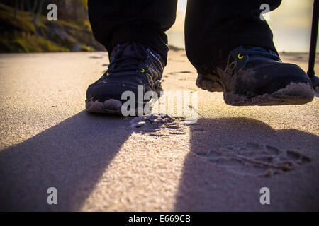 Pieds de cultiver l'homme de la marche nordique sur la plage Banque D'Images