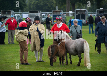 Les gens se tenait près de poneys à un spectacle. Banque D'Images