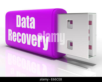 Stylo lecteur de récupération de données Sauvegarde de données Signification pratique ou restauration Banque D'Images