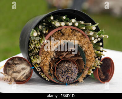 Maison des insectes à la main, composé de matériaux naturels pour le jardin, sur l'affichage à l'Aberfeldy 2014 montrent, en Écosse. Banque D'Images