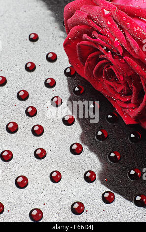 Rose rouge sur un fond rouge de chute libre Banque D'Images