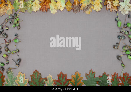 Forêt d'automne cadre sur fond gris Banque D'Images
