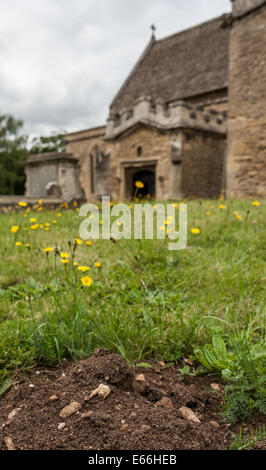 Bampton, Oxfordshire, UK. 16e Août, 2014. Les taupes ont mis à jour une partie de la sinistre demeure d'un résident de l'église de St Mary's Church dans Bampton, Oxfordshire. L'église St Mary est mieux connu sous le nom de St Michel et tous les anges dans la populaire série télévisée Downton Abbey. Il a été l'hôte d'un certain nombre d'événements dramatiques dont les baptêmes, mariages, funérailles, et d'un jilting à l'autel. Credit : Desmond Brambley/Alamy Live News Banque D'Images