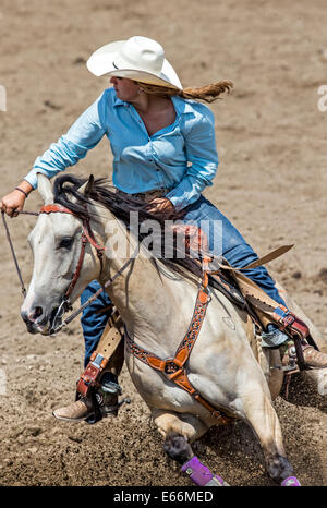 Cowgirl sur l'équitation de l'événement course de barils dames, Chaffee County Fair & Rodeo Banque D'Images