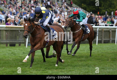 Newmarket, au Royaume-Uni. 16e Août, 2014. Meilleur de la Journée du sport. L'étui d'arme sous Nicky Mackay remportant la course du bien-être social de l'EBF Maiden Stakes étalons. Credit : Action Plus Sport/Alamy Live News Banque D'Images