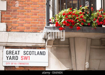 Plaque de rue 'Great Scotland Yard SW1' avec des géraniums rouges sur une petite fenêtre balcon Banque D'Images