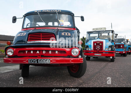 Ligne de Malcolm Vintage camions groupe dirigé par un opérateur Thames et Atkinson Borderer Banque D'Images