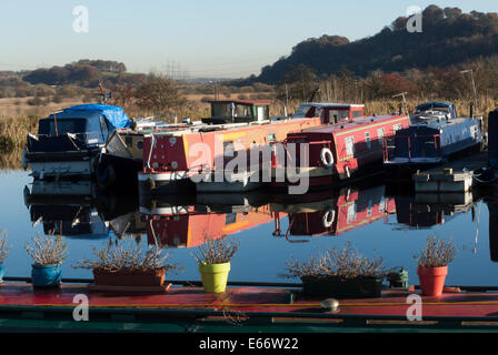 Canal bateaux amarrés à Auchinstarry Marina sur la Forth et Clyde Canal. Banque D'Images