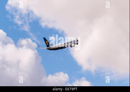 Un Boeing 737 de Ryanair décollant de l'aéroport de Luton en Angleterre , Angleterre , Royaume-Uni Banque D'Images