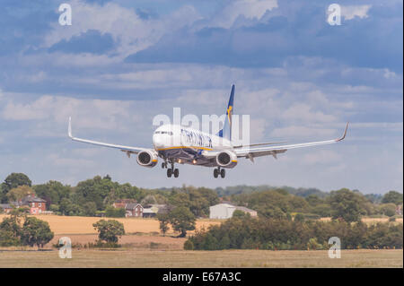 Un Boeing 737 de Ryanair en venant d'atterrir à l'aéroport de Luton en Angleterre , Angleterre , Royaume-Uni Banque D'Images