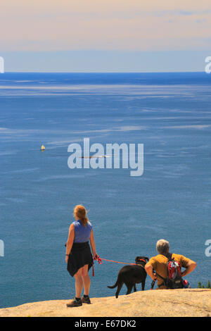 Sentier de montagne Gorham, l'Acadia National Park, Maine, USA Banque D'Images