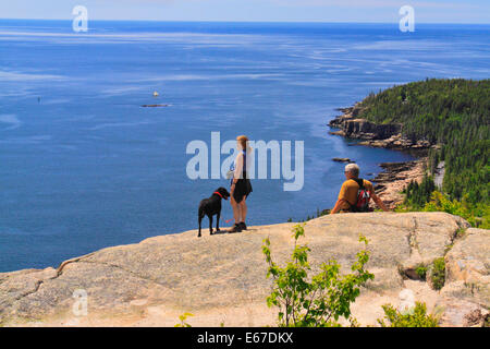 Otter Cliff vu du sentier de montagne Gorham, l'Acadia National Park, Maine, USA Banque D'Images
