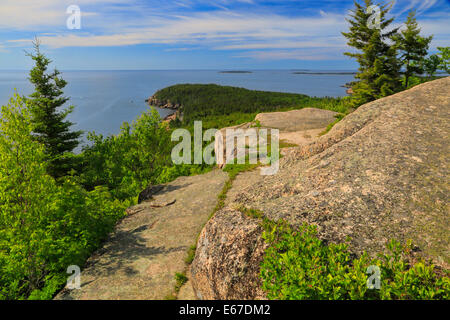 Otter Cliff vu du sentier de montagne Gorham, l'Acadia National Park, Maine, USA Banque D'Images