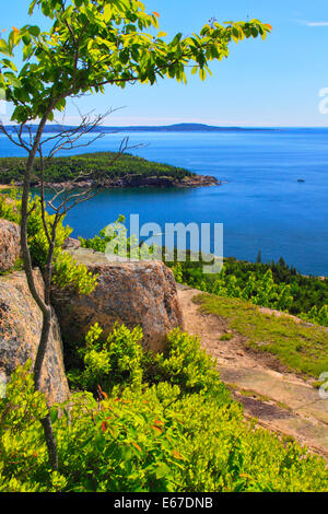 Sentier de montagne Gorham, l'Acadia National Park, Maine, USA Banque D'Images