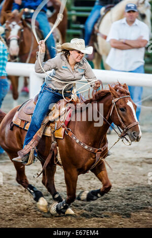 Cowgirl à cheval en concurrence dans le dispositif de retenue de l'événement au lasso, Chaffee County Fair & Rodeo Banque D'Images