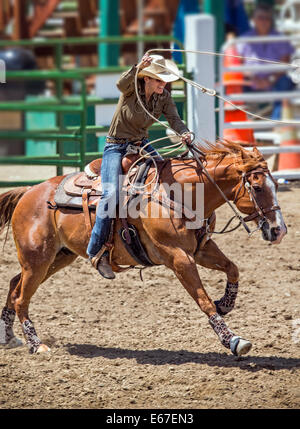 Cowgirl à cheval en concurrence dans le dispositif de retenue de l'événement au lasso, Chaffee County Fair & Rodeo Banque D'Images