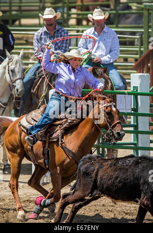 Cowgirl à cheval en concurrence dans le dispositif de retenue de l'événement au lasso, Chaffee County Fair & Rodeo Banque D'Images