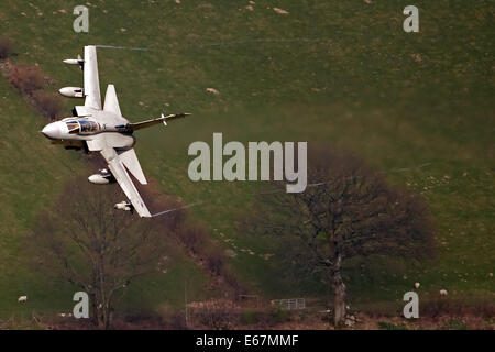 RAF Tornado Gr4 fighter jet faible niveau dans la boucle nord du Pays de Galles UK Mach Banque D'Images