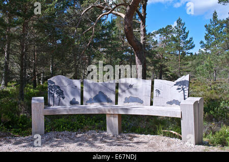 - Magnifique banc en bois décoré au Loch Garten Osprey Centre RSPB, Abernethy Forest National Cairngorms, Réserve Naturelle Banque D'Images