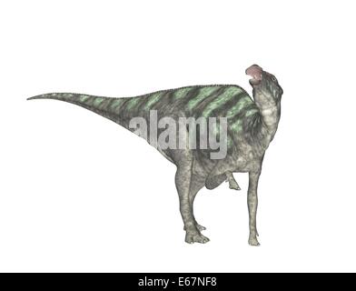 Maiasaura Dinosaurier Maiasaura dinosaure / Banque D'Images