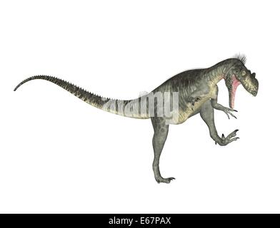 Dinosaure Megalosaurus Dinosaurier Megalosaurus / Banque D'Images