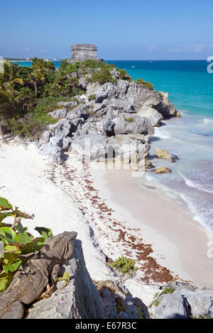 Iguana Beach et Temple de vent Tulum Mexique Yucatan Banque D'Images