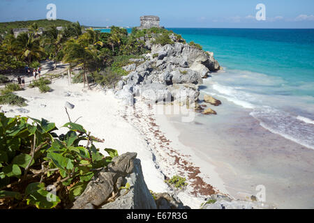 Iguana Beach et Temple de vent Tulum Mexique Yucatan Banque D'Images