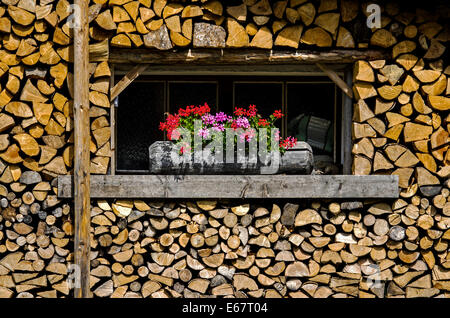 Summertime, stockées fireword pour l'hiver dans la vallée de Chamonix dans les Alpes françaises. Banque D'Images