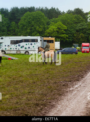 Le Staffordshire en Angleterre, une femme à cheval horse vers horsebox dans un champ boueux après de fortes pluies au comté de Staffordshire Show. Banque D'Images