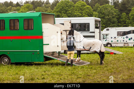 Le Comté de Staffordshire Show, 2014, Staffordshire en Angleterre, Royaume-Uni. Deux femme menant un cheval au horsebox. Banque D'Images