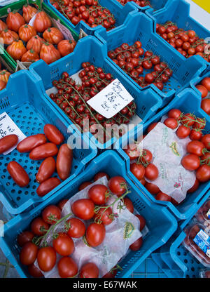 Une variété de tomates à vendre à l'extérieur d'un magasin vert à Ostende/Oostende, Belgique. Banque D'Images