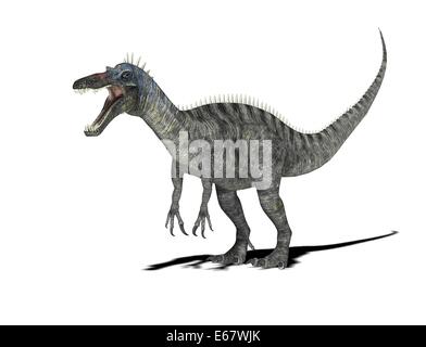 Suchomimus Suchomimus dinosaur Dinosaurier / Banque D'Images