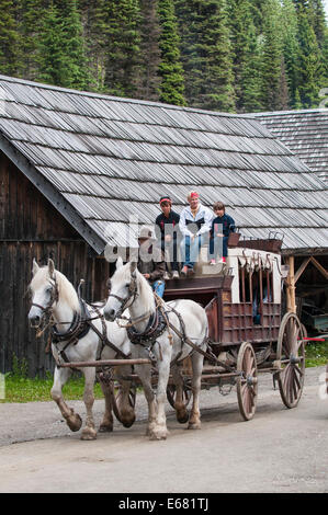 Les gens touristes circonscription une diligence dans la ville d'or historique de Barkerville, British Columbia, Canada. Banque D'Images