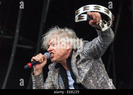 Remenham Henley-on-Thames, Oxfordshire, UK. 17 août 2014. BOB GELDOF chanteur chanteur de The Boomtown Rats effectue sur l'avant-scène au Festival 2014 'Rewind' qui s'est tenue du 15-16-17 août 2014. Crédit photo : John Henshall 2014 / Alamy Live News. Par0414 Banque D'Images