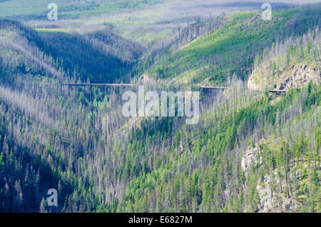 Vue panoramique du vélo de montagne ancienne en bois les ponts en sentier canyon Myra, Kelowna, Colombie-Britannique, Canada. Banque D'Images