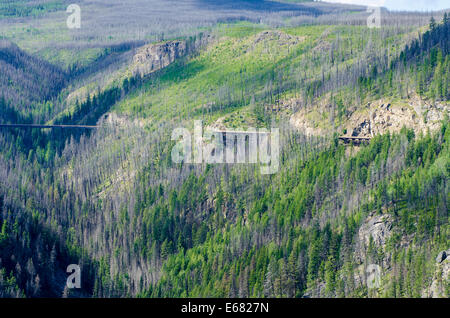 Vue panoramique du vélo de montagne ancienne en bois les ponts en sentier canyon Myra, Kelowna, Colombie-Britannique, Canada. Banque D'Images